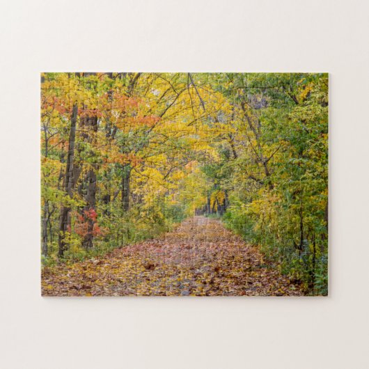 Herfstkleuren in Independence State Park Legpuzzel (Horizontaal)
