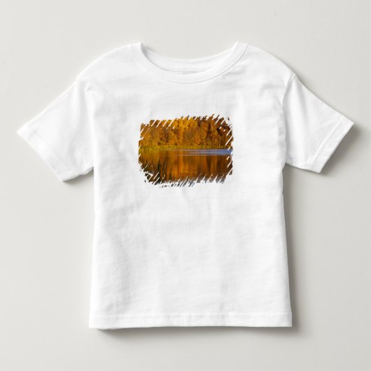 Herfstkleuren in Maplewood State Park nabij Kinder Shirts (Voorkant)