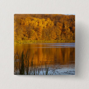 Herfstkleuren in Maplewood State Park nabij Vierkante Button 5,1 Cm