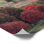 Herfstkleuren in Massachusetts Poster (Hoek)