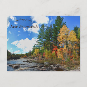 Herfstkleuren in New Brunswick, Canada Briefkaart