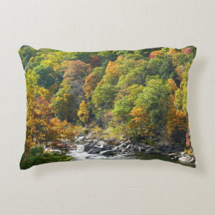 Herfstkleuren in Ohiopyle State Park Accent Kussen