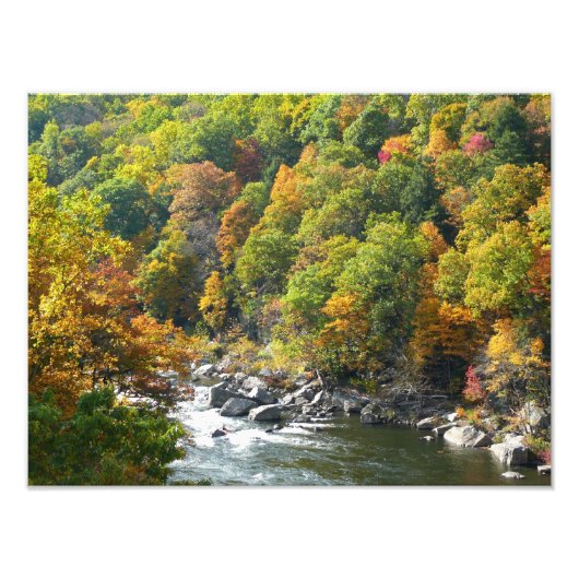 Herfstkleuren in Ohiopyle State Park Foto Afdruk (Voorkant)