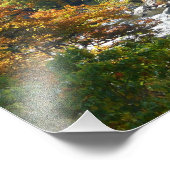 Herfstkleuren in Ohiopyle State Park Foto Afdruk (Hoek)
