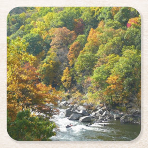 Herfstkleuren in Ohiopyle State Park Kartonnen Onderzetters