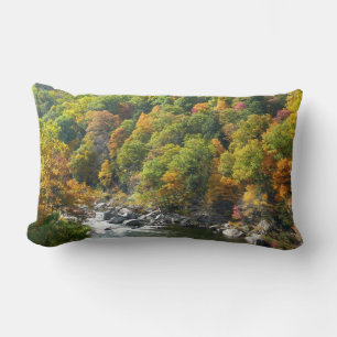Herfstkleuren in Ohiopyle State Park Kussen
