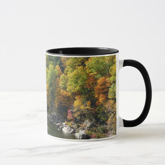 Herfstkleuren in Ohiopyle State Park Mok (Rechts)
