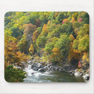 Herfstkleuren in Ohiopyle State Park Muismat