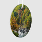 Herfstkleuren in Ohiopyle State Park Ornament (voorkant)