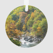 Herfstkleuren in Ohiopyle State Park Ornament (achterkant)