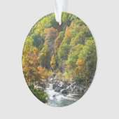 Herfstkleuren in Ohiopyle State Park Ornament (voorkant)