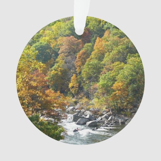 Herfstkleuren in Ohiopyle State Park Ornament (voorkant)