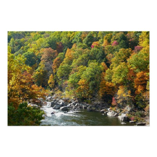 Herfstkleuren in Ohiopyle State Park Perfect Poster (Voorkant)