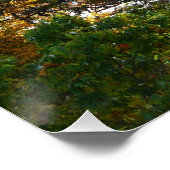 Herfstkleuren in Ohiopyle State Park Perfect Poster (Hoek)