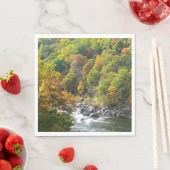 Herfstkleuren in Ohiopyle State Park Servetten (Insitu)