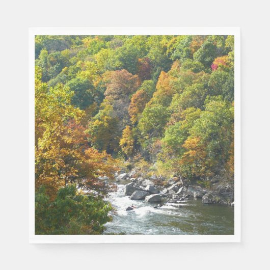 Herfstkleuren in Ohiopyle State Park Servetten (Voorkant)