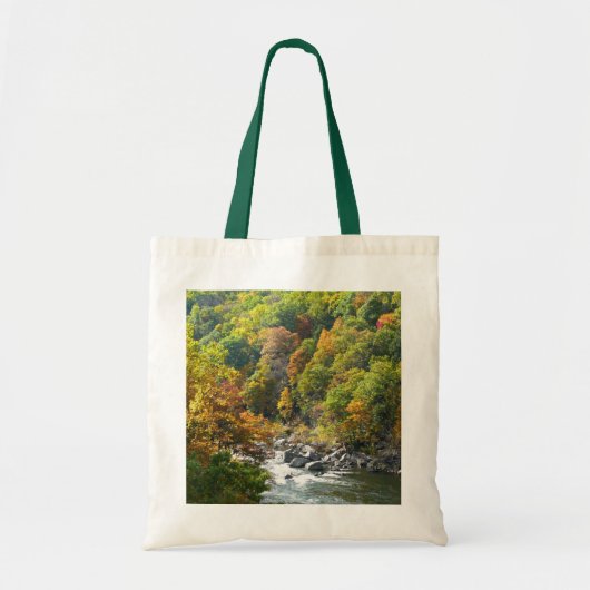 Herfstkleuren in Ohiopyle State Park Tote Bag (Voorkant)