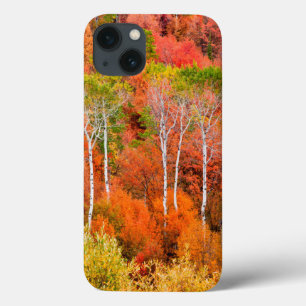 Herfstkleuren in Rocky Mountains, Wyoming, Verenig Case-Mate iPhone Case