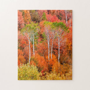 Herfstkleuren in Rocky Mountains, Wyoming, Verenig Legpuzzel