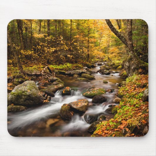 Herfstkleuren Jefferson Brook | White Mountains Muismat (Voorkant)