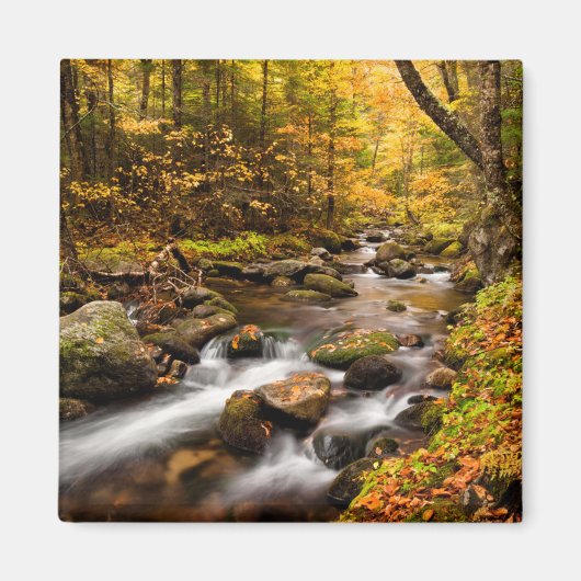 Herfstkleuren Jefferson Brook | Witte Bergen Magneet (Voorkant)