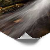 Herfstkleuren Jefferson Brook | Witte Bergen Poster (Hoek)