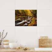Herfstkleuren Jefferson Brook | Witte Bergen Poster (Keuken)