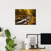 Herfstkleuren Jefferson Brook | Witte Bergen Poster (Thuiskantoor)