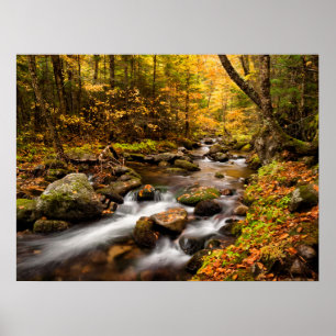 Herfstkleuren Jefferson Brook   Witte Bergen Poster