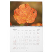 herfstkleuren kalender (Mar 2027)