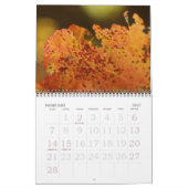 herfstkleuren kalender (Feb 2027)