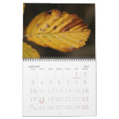 herfstkleuren kalender (Jan 2027)