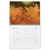 herfstkleuren kalender (Feb 2026)