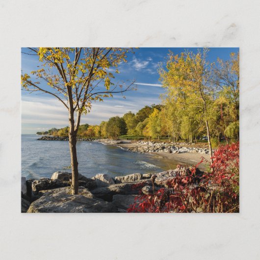 Herfstkleuren, Kust van Lake Ontario, Canada Briefkaart (Voorkant)