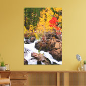Herfstkleuren langs Bishop Creek, CA Canvas Afdruk (Insitu (Woonkamer))