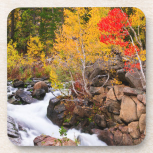 Herfstkleuren langs Bishop Creek, CA Drankjes Onderzetter
