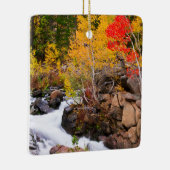 Herfstkleuren langs Bishop Creek, CA Keramisch Ornament (Rechts)