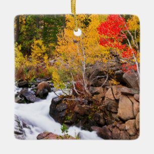 Herfstkleuren langs Bishop Creek, CA Keramisch Ornament