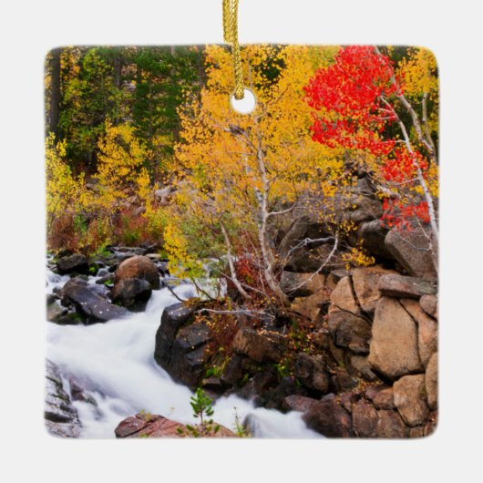 Herfstkleuren langs Bishop Creek, CA Keramisch Ornament (Voorkant)