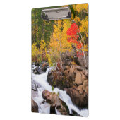 Herfstkleuren langs Bishop Creek, CA Klembord (Links)