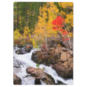 Herfstkleuren langs Bishop Creek, CA Klembord (Achterkant)