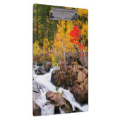 Herfstkleuren langs Bishop Creek, CA Klembord (Rechts)