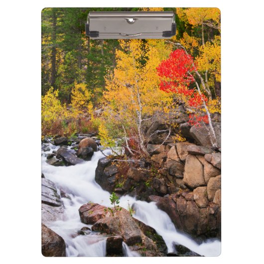 Herfstkleuren langs Bishop Creek, CA Klembord (Voorkant)