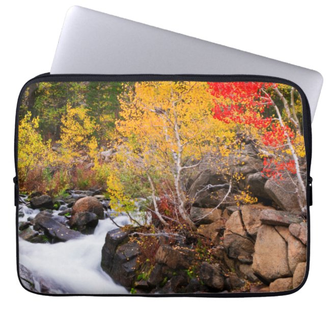 Herfstkleuren langs Bishop Creek, CA Laptop Sleeve (Voorkant)