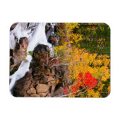 Herfstkleuren langs Bishop Creek, CA Magneet (Horizontaal)