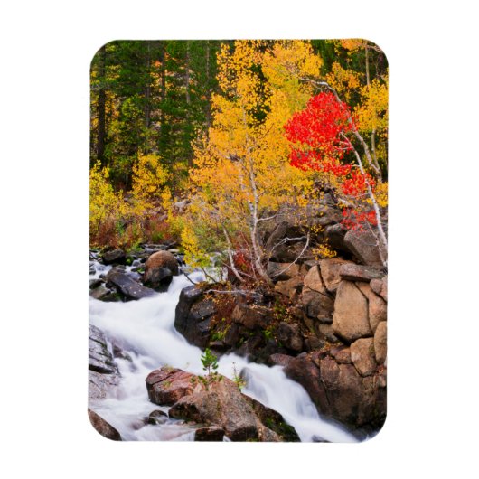 Herfstkleuren langs Bishop Creek, CA Magneet (Verticaal)