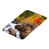 Herfstkleuren langs Bishop Creek, CA Magneet (Linkerzijde)