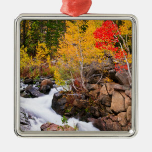 Herfstkleuren langs Bishop Creek, CA Metalen Ornament