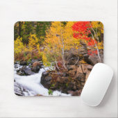 Herfstkleuren langs Bishop Creek, CA Muismat (Met muis)