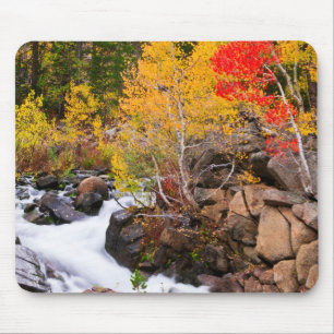 Herfstkleuren langs Bishop Creek, CA Muismat